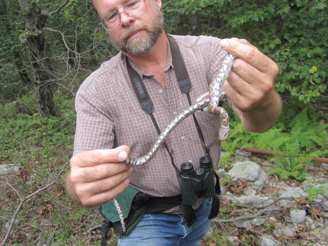 Dr. LaDuke of the Biology Department holding a milk snake. Photo Credit / Zack Gotthardt