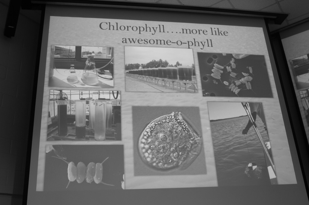 Matthew Semcheski presented this slide right after telling the story of how he came to love chlorophyll. Photo Credit / Jamie Reese