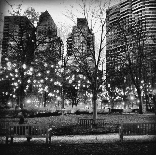 Holleran posted this picture of Rittenhouse Square to her Instagram on the night of her suicide. Photo Credit / Associated Press