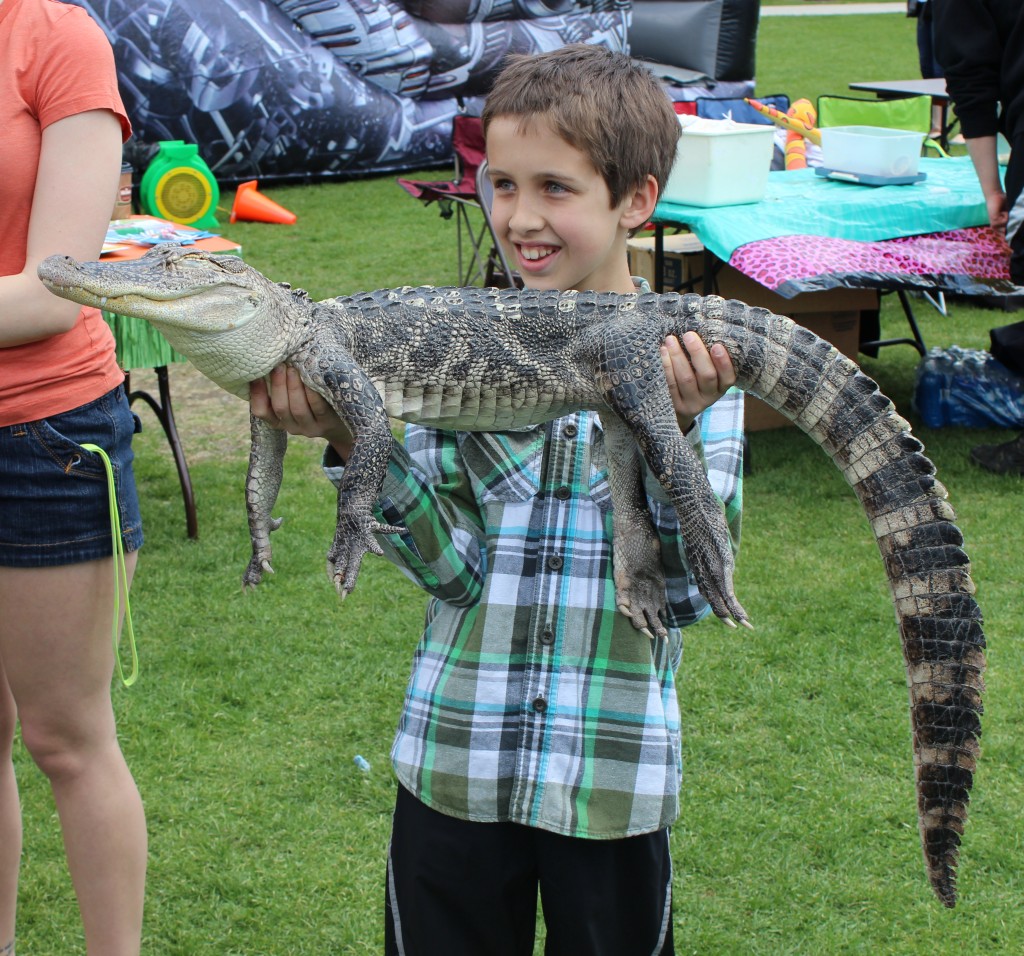 A community member holding one of the exotic animals at Community on the Quad: an alligator.  Photo Credit / Jamie Reese
