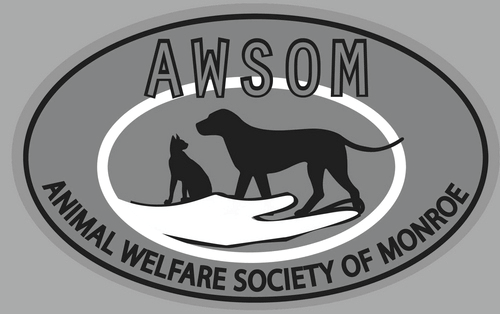 AWSOM is an animal shelter located in Stroudsburg, PA. Photo Courtesy / AWSOM