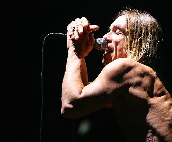 Iggy Pop released “Post Pop Depression” on March 18, 2016. Photo Courtesy / Alex Const