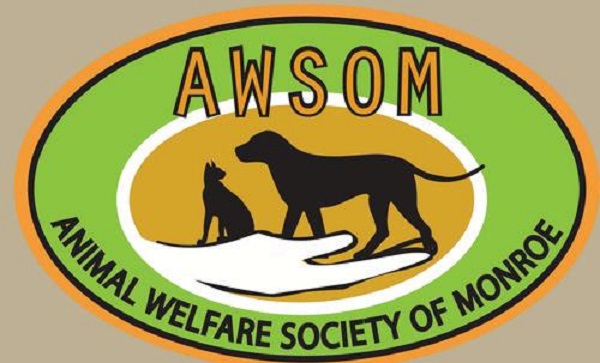 You can help an animal in need by adopting or volunteering at Stroudsburg’s AWSOM shelter. Photo Courtesy/ AWSOM Shelter