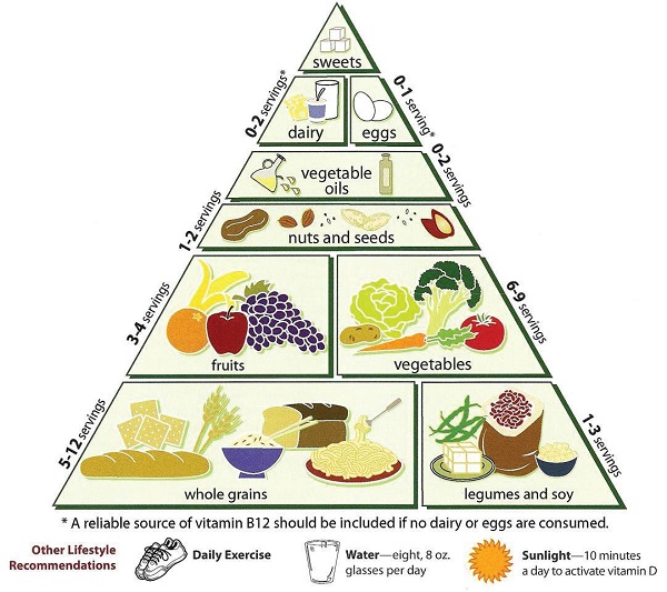 Photo Courtesy / Wikimedia Commons The food pyramid consists of a lot of foods that are often wasted.
