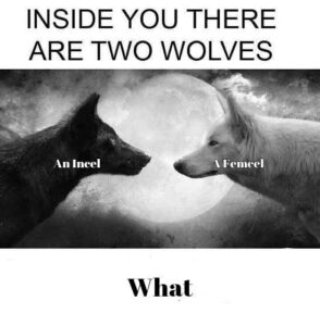 "Inside of you there are two wolves: incel and femcel.""What?"