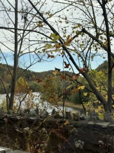 A river running through a wooded area