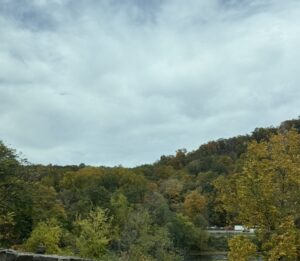 A mountainous region with red, yellow, and green tree leaves