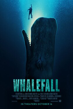 A man underwater swimming to the surface. Behind him, a whale is in pursuit.